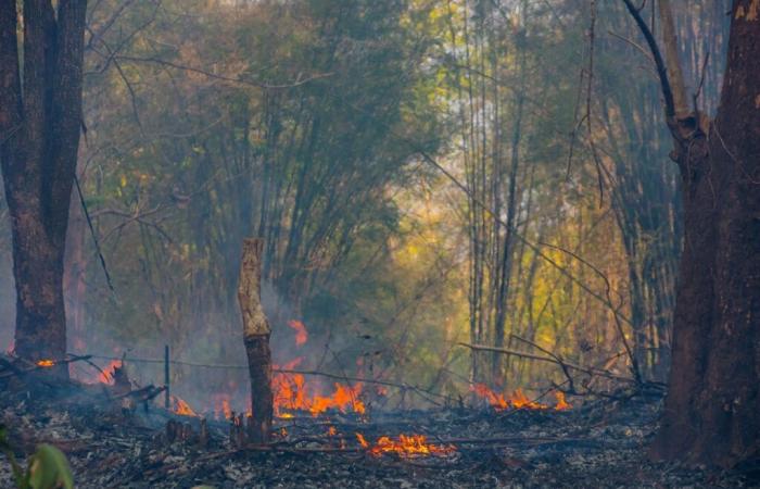 La Galice participe à cette initiative sur les incendies de forêt extrêmes