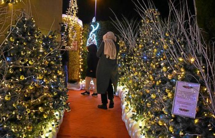 Près de Saint-Malo, les illuminations de cette maison attirent le monde depuis 10 ans