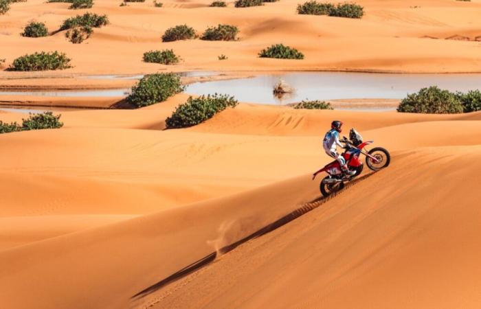 SHAD prêt pour le Dakar et l’Africa Eco Race 2025 – MotoriNoLimits