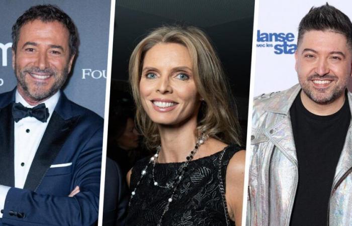 Sylvie Tellier en léopard, Chris Marques en retard pour ses cadeaux, Bernard Montiel au soleil… Comment les stars de la télé fêtent Noël