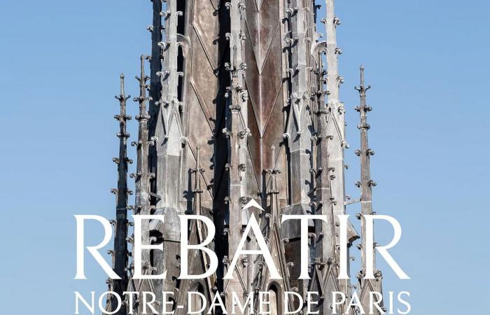 Reconstruire Notre-Dame de Paris, l’oeil des photographes au cœur du chantier