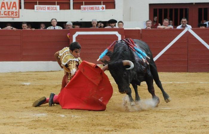 Des corridas dans le Tarn ? Ce club fait vivre la culture taurine à Albi