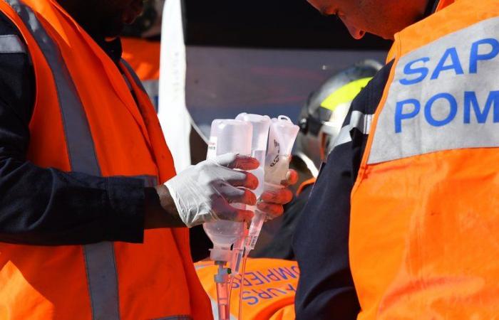 une femme de 35 ans tuée et six blessées sur l’A9 dans un violent accident