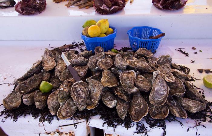 A Dakhla et Oualidia, les huîtres locales font le succès des repas de fête