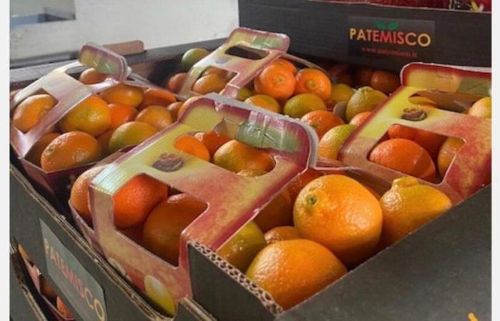 « Les prix trop élevés ralentissent la consommation de fruits »