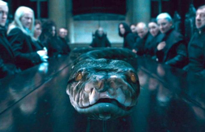 vous battez Voldemort si vous découvrez comment ces 10 personnages de Harry Potter sont morts