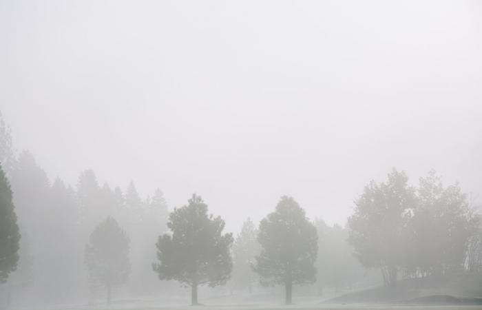 Bulletin météo. Quelle météo dans les Hauts-de-France pour ce mercredi 25 décembre ?