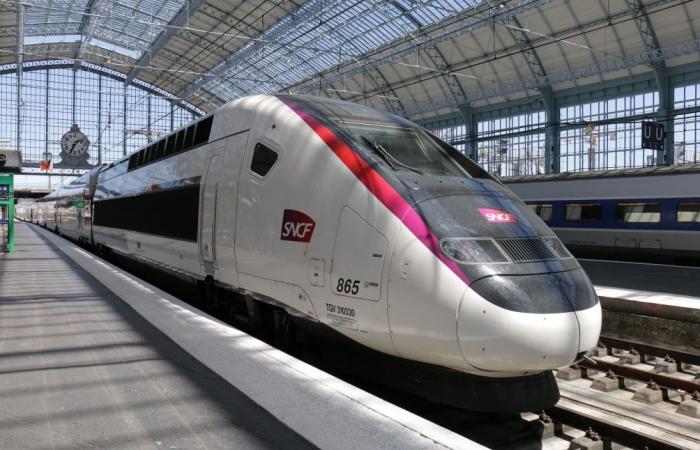 un conducteur de TGV se suicide en sautant du train