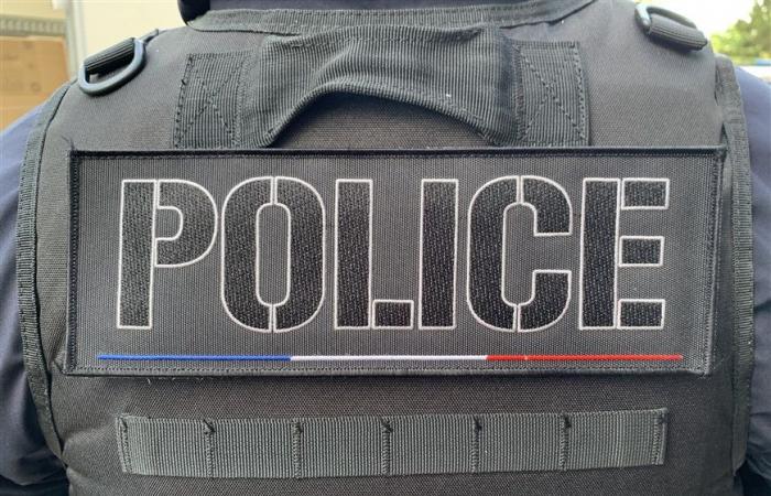 ????????Thionville. Trois policiers sauvent d’un incendie un couple et leur chien grièvement blessés