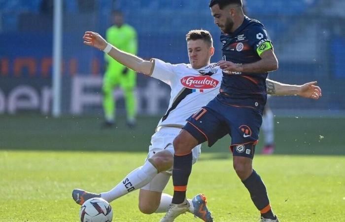 les ultras de Montpellier enflamment le club et Téji