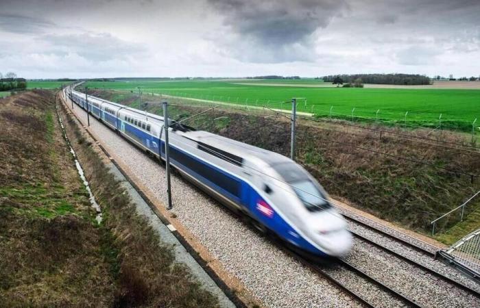 Une dizaine de TGV retardés après un « accident corporel » en Seine-et-Marne