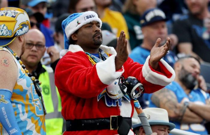 Les sports à regarder à la télé pendant les vacances de Noël