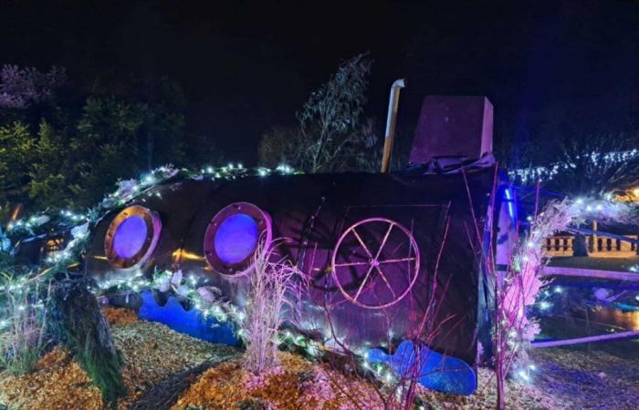 Des personnes handicapées illuminent les jardins féeriques de Fougères