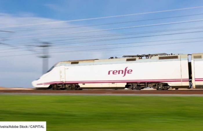 Après Lyon et Marseille, Renfe va pouvoir rejoindre cette autre ville française