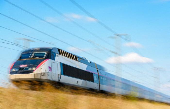 le conducteur d’un TGV s’est suicidé “pendant que le train roulait” annonce la SNCF