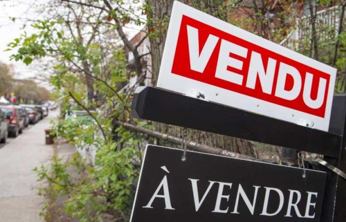 Que nous réserve 2025 : plus d’activités et des prix de l’immobilier toujours plus élevés ?