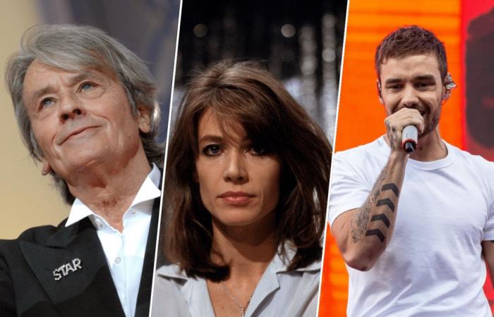 Alain Delon, Françoise Hardy, Liam Payne… ils nous ont quittés en 2024