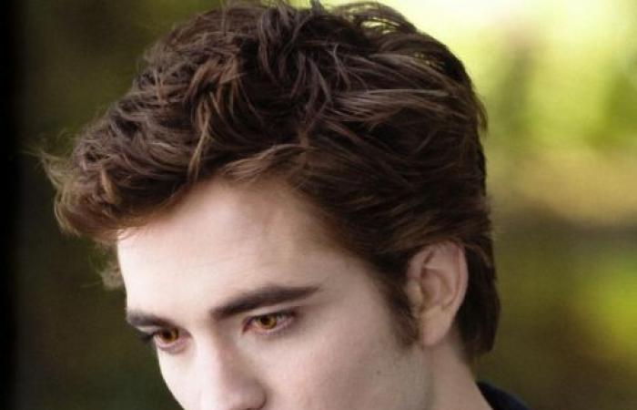 Personne n’a compris si ces 10 images proviennent de Harry Potter ou de Twilight