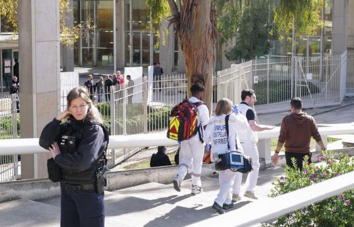 RÉTRO 2/12. Éternels polluants à Salindres, féminicide au tribunal de Montpellier… les événements qui ont marqué la région en février 2024