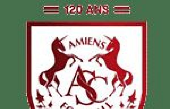 Rodez – Amiens – Socios FC Metz