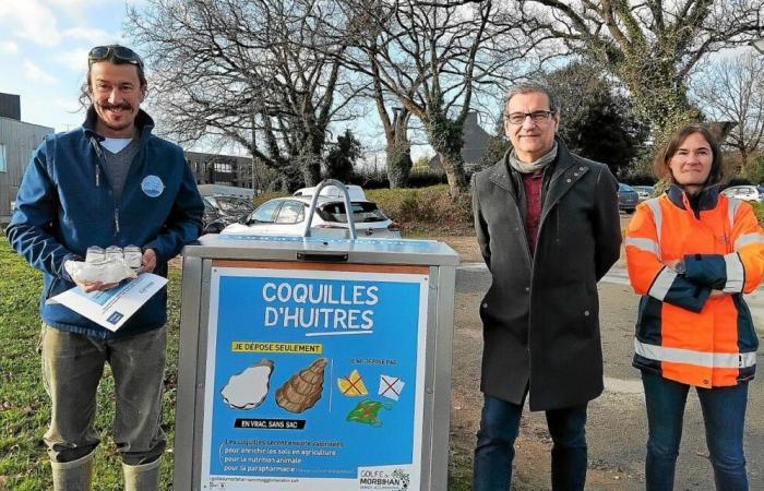 l’Agglomération de Vannes veut valoriser les coquilles d’huîtres