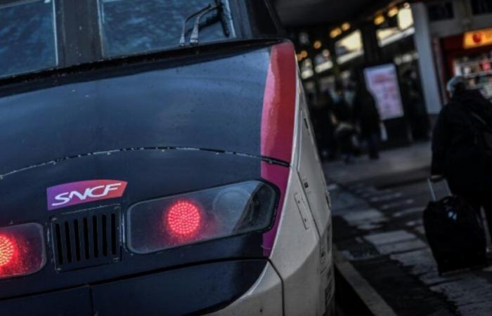 le suicide d’un conducteur de train à l’origine des perturbations du réveillon de Noël : Actualités