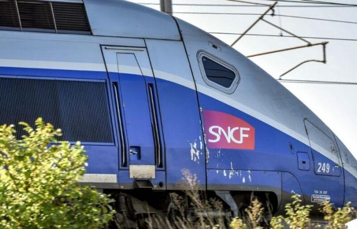 Comment le système d’arrêt d’urgence des TGV a-t-il évité le pire ?