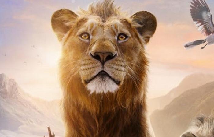 Mufasa : Le Roi Lion : les questions sur le film original auxquelles Mufasa répond