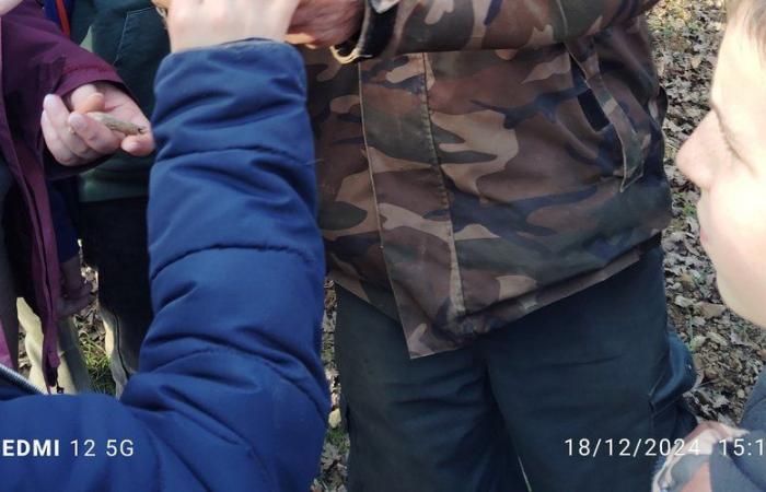 A l’Outil en Main de Figeac, on apprend les gestes de la truffe