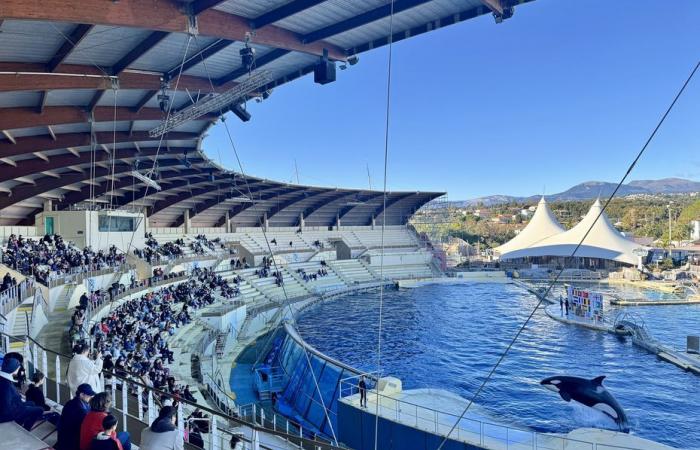 une pétition lancée contre la fermeture du Marineland d’Antibes, prévue le 5 janvier