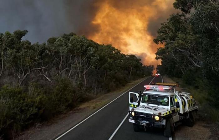 Le monde en bref | La canicule alimente les incendies en Australie, la FINUL « préoccupée » par les destructions au Liban