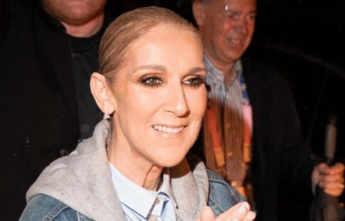 Tournée, albums… Céline Dion prépare son retour sur le devant de la scène : Actualités