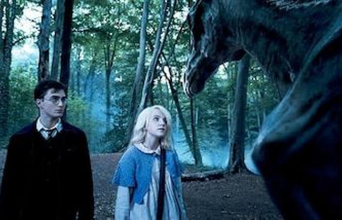 L’un des protagonistes d’Harry Potter a entretenu une relation secrète pendant 9 ans avec un autre acteur de la saga