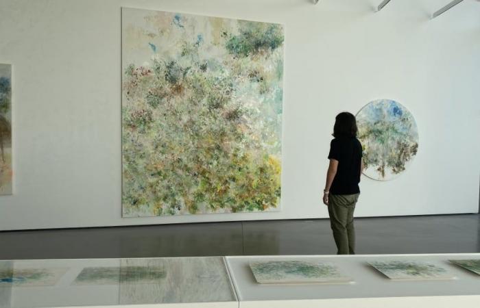 In Puy-Sainte-Réparade, South Korean artist Myonghi Kang exhibits her paintings at Château La Coste