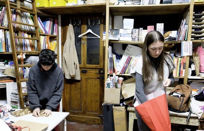 Saint-Girons. La librairie La Mousson, une ruche pour les amateurs de livres