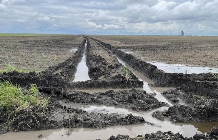 Retour sur 2024 en images au Manitoba