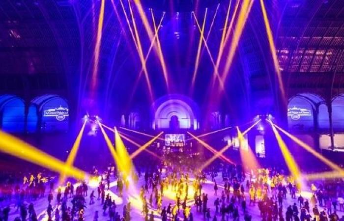 une patinoire géante à Paris – Le Grand Palais – Paris, 75008