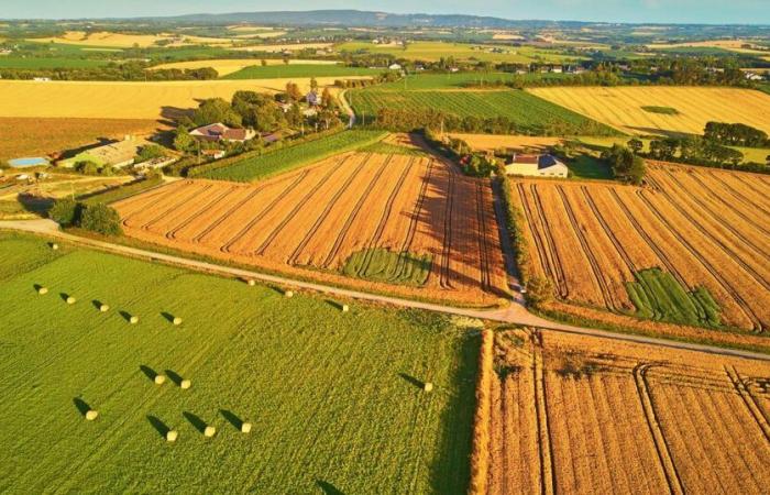 En France, une « présence quasi systématique » de microplastiques dans les sols