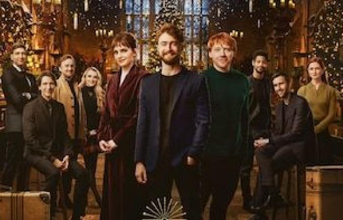 L’un des protagonistes d’Harry Potter a entretenu une relation secrète pendant 9 ans avec un autre acteur de la saga