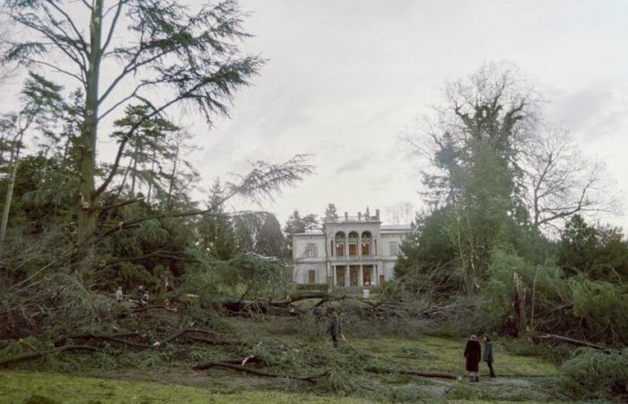 Il y a 25 ans, la tempête Lothar faisait des ravages dans les forêts suisses