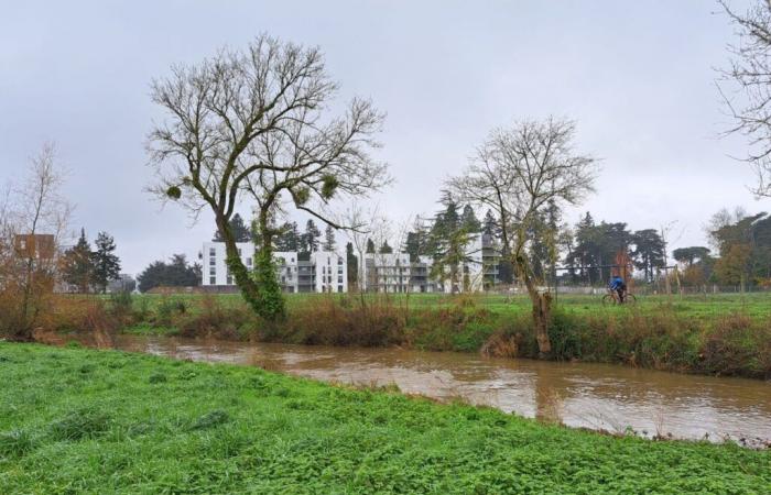 où en est le projet d’aménagement de la prairie Saint-Martin ?