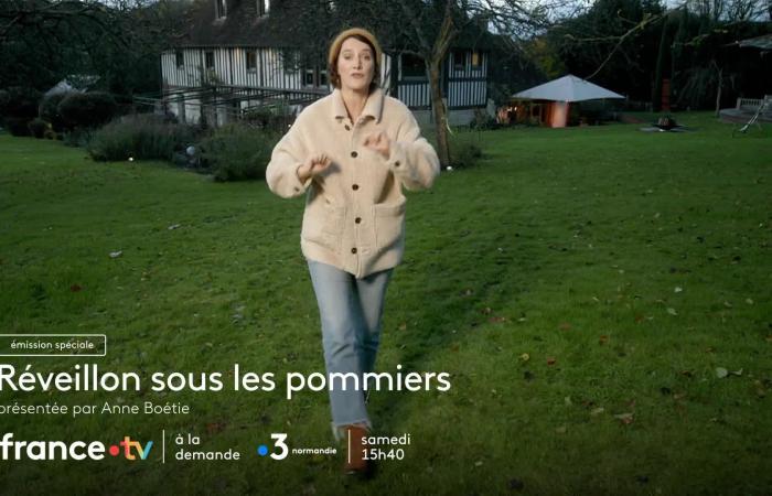 un show spécial à ne pas manquer avec Anne Boétie