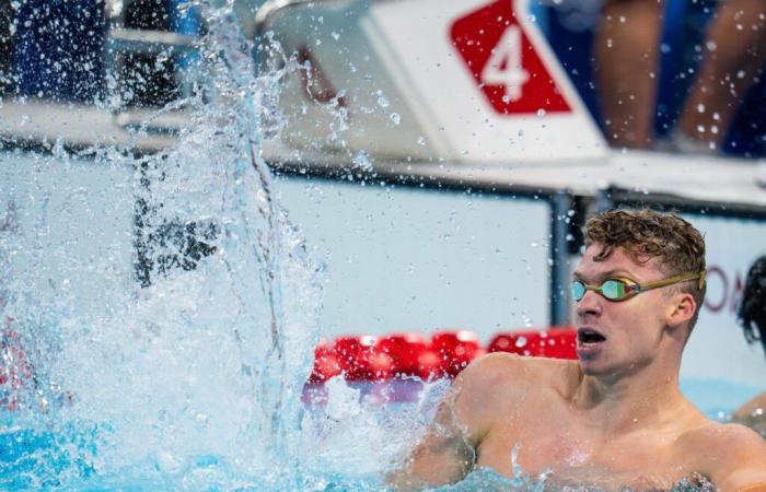 Les Swammy Awards dans l’année mémorable de la natation mondiale