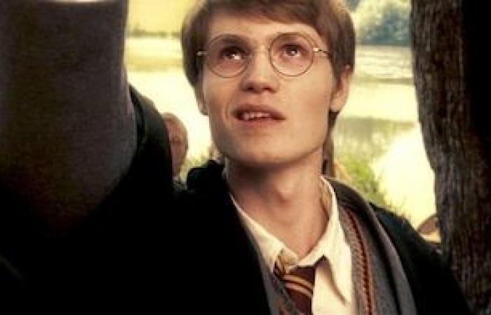 L’un des protagonistes d’Harry Potter a entretenu une relation secrète pendant 9 ans avec un autre acteur de la saga