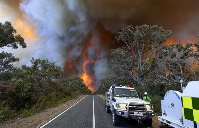 L’Australie étouffe sous la chaleur extrême et les incendies massifs dans le sud-est