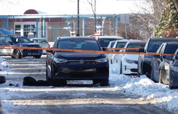 Renversée par une voiture, une piétonne perd la vie à Lachine