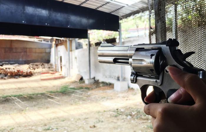 Le préfet de Guadeloupe interdit le port, le transport et l’exposition de fausses armes à feu