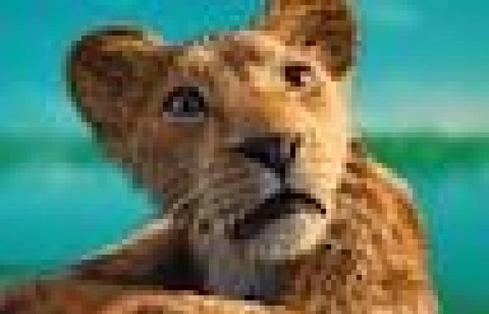 Mufasa : Le Roi Lion : les questions sur le film original auxquelles Mufasa répond