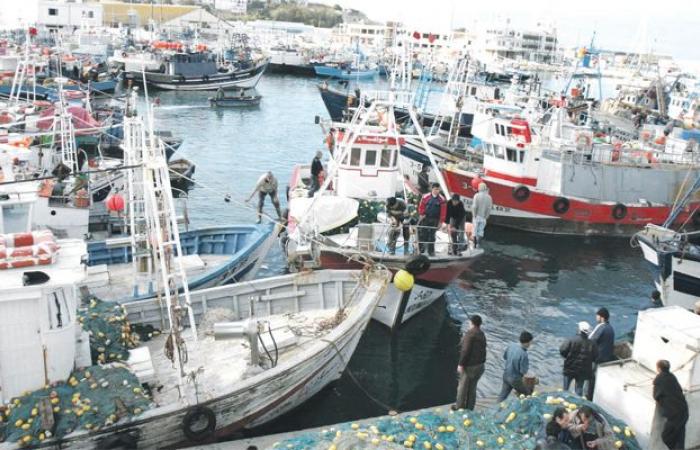 Baisse des débarquements de pêche à fin novembre