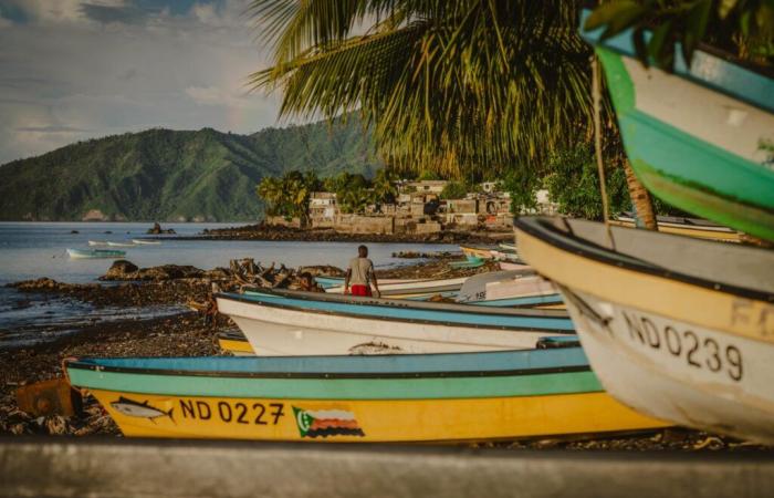 après le cyclone Chido à Mayotte, « c’est maintenant ou jamais » pour les passeurs de migrants